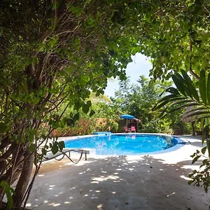 https://don-diego-de-la-selva-tulum.quintano-roohotels.com